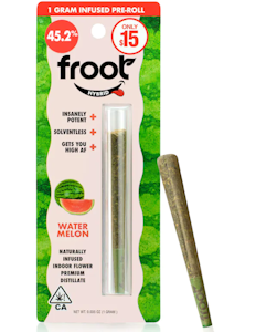Froot - Froot - Watermelon - 1g Infused Preroll