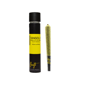 BISCOTTI - Infused Preroll - Marshmallow OG x Lava Cake - 1g (IH) - Biscotti