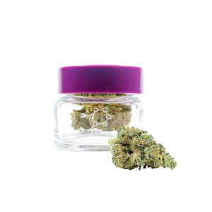 THC DESIGN - THCD - King Louis - 1/8th