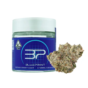 Blueprint - 3.5g P90 (Indoor) - BluePrint