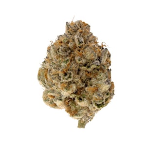 FloraCal - Animal Mints | 8th | FloraCal