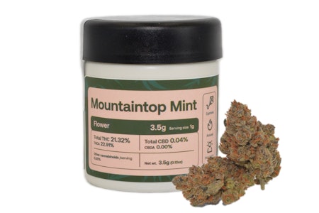 MFNY - MFNY - Mountaintop Mint - 3.5g