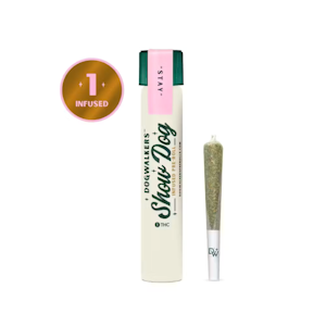 DOGWALKERS - Dogwalkers | Infused Preroll | SinMint Sundae | 1g
