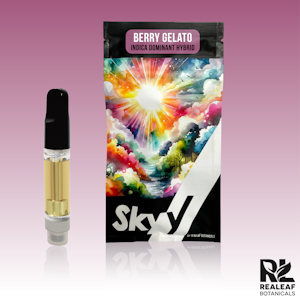 Skyy - Skyy | Cartridge | Berry Gelato | 1g