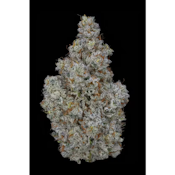 Aether Fields | Minterstellar Cookies 3.5g (Hybrid) - Premium Indoor Flower