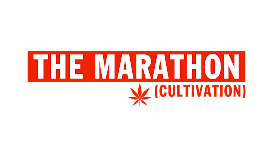 THE MARATHON CULTIVATION - Marathon Cultivation Skywalker OG 1g Preroll