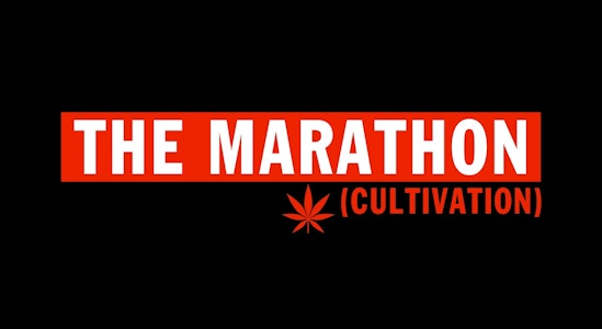 THE MARATHON CULTIVATION - Marathon Cultivation Black Cherry Gas 7g Flower