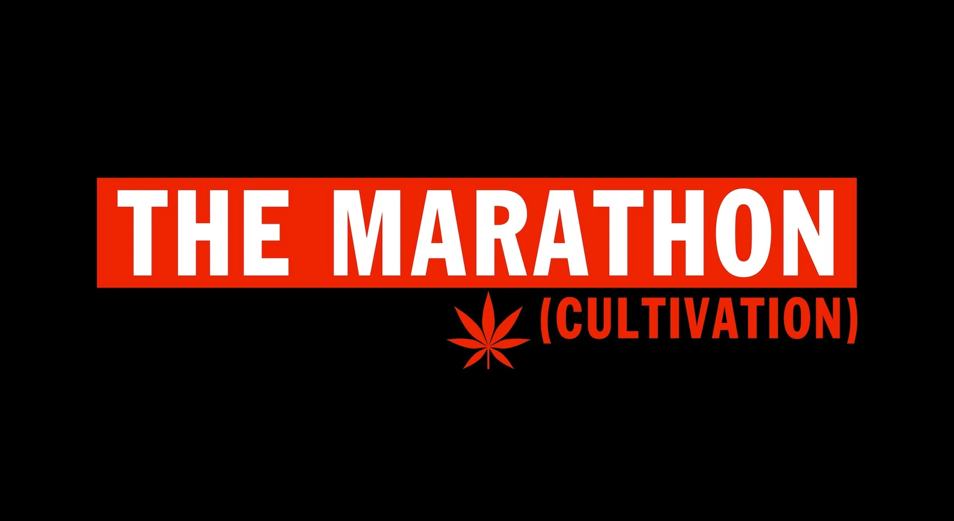 The Marathon Cultivation - Marathon Cultivation Black Cherry Gas 7g Flower Main Image