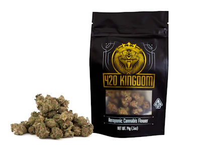 420 KINGDOM - 420 Kingdom - Watermelon Mimosa - 14g Bigs - 420K