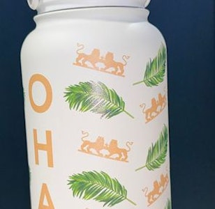Ohana - [MERCH]] Ohana Stainless Steel Water Bottle
