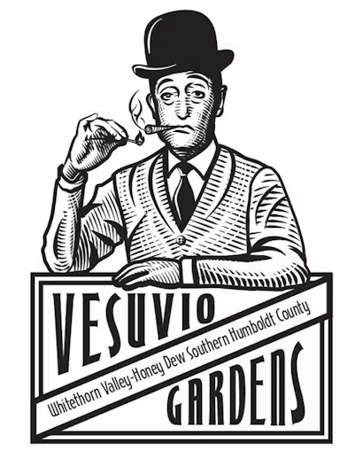 Vesuvio Gardens - Vesuvio Gardens - 1/2oz Bag - Black Widow Main Image