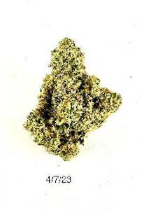 PROHIBITION 37 - P37 - Froot Stripes