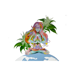 HASH AND FLOWERS - HONEY PUNCH ROSIN 1G - HASH AND FLOWERS