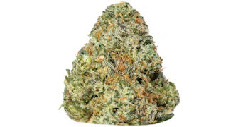 Delighted - Moon Zyrup - 3.5g