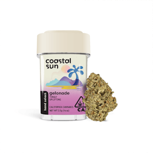 COASTAL SUN - Coastal Sun Flower 3.5g - Gelonade 31%