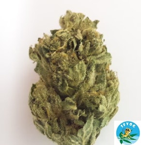 SFVOG - SFVOG/Gelato 41/1g/(H)