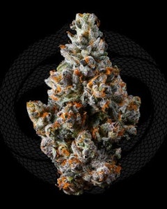 Connected EXCLUSIVES Nightshade Flower (I) 3.5g