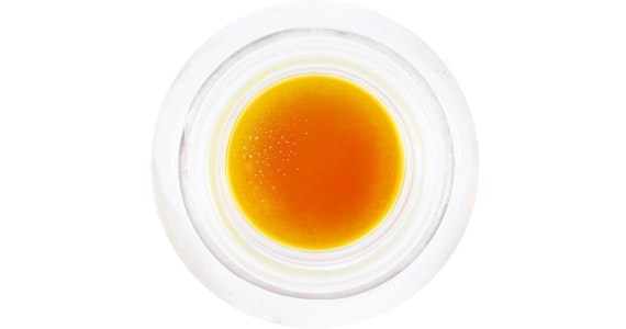 HUMBOLDT TERP COUNCIL - Humboldt Terp Council - World War Z Live Resin - 1g