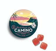 CAMINO - WATERMELON LEMONADE 100MG - KIVA CONFECTIONS