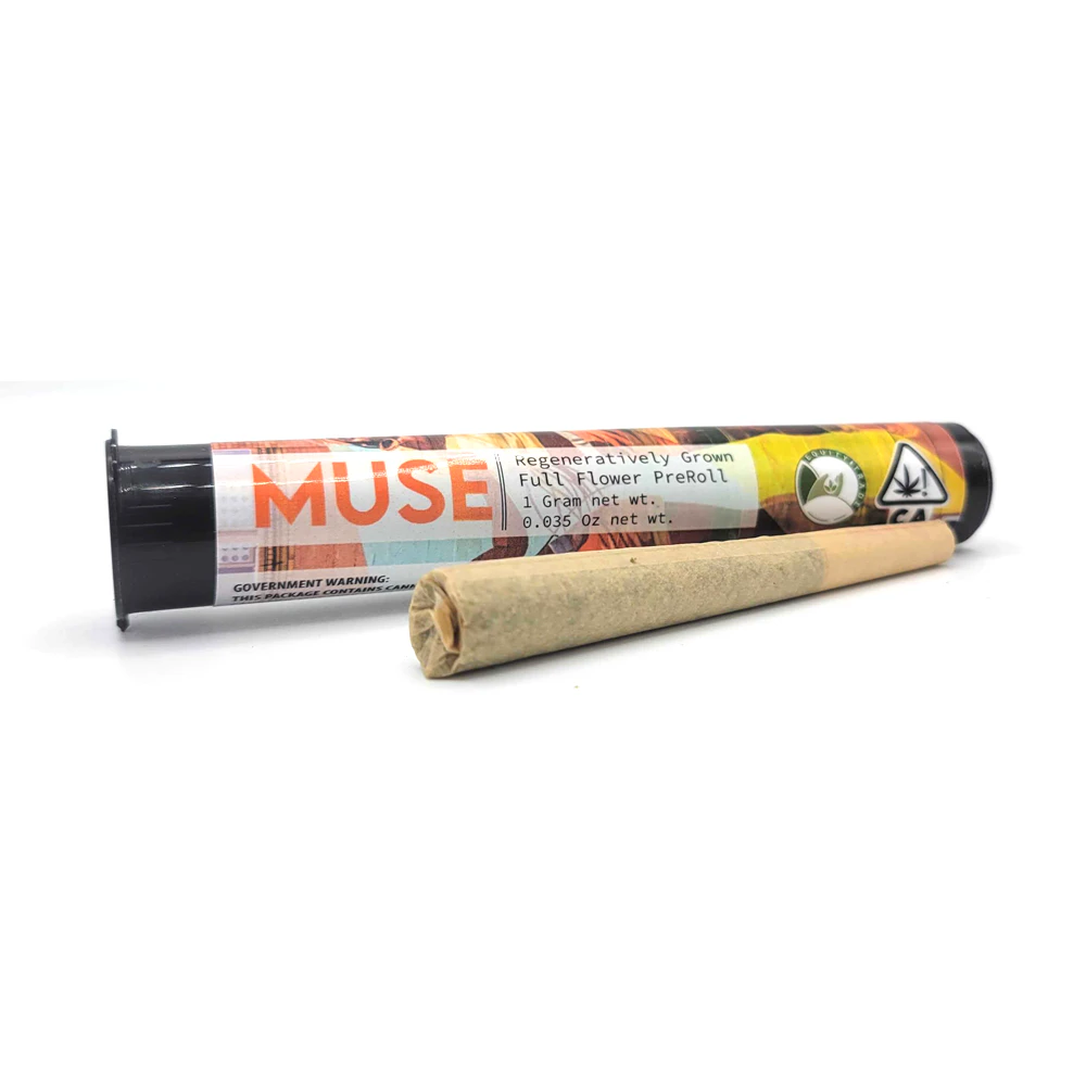 Dolo Rolling Co. -  Muse - Orange Valley Sun Preroll (1g) Main Image