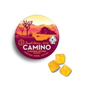 Camino - 100mg Gummies - Pineapple Habanero