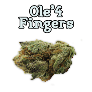 Ole' 4 Fingers - Milkshake 3.5g Bag - Ole' 4 Fingers