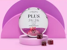PLUS - Relief - Pomegranate Gummies 100mg THC : 100mg CBD 20pk