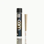 CAM - Preroll - Jack Herer - 1g