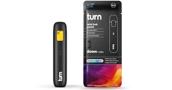 Turn - Wild Fruit Punch AIO - 1g