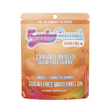 100mg THC Indica Sugar Free Watermelon Originals Gummies (10mg - 10 Pack) - Kushy Punch