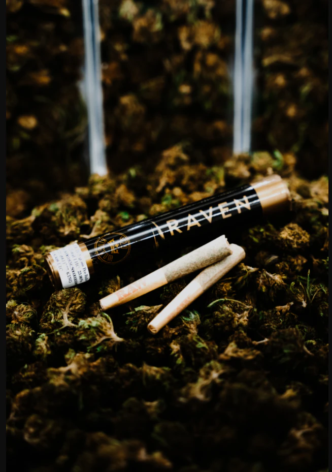 420 Kingdom - Raven - Gorilla Glue #4 Preroll - 1g - 2pk PreRolls - 420K Main Image