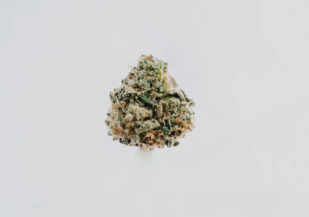 420 Kingdom - Sherbert - 14g Smalls (1/2oz) - 420K Main Image