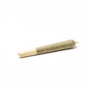 Kingston - Zimosa x Slushie Infused Mini Blunts 1g