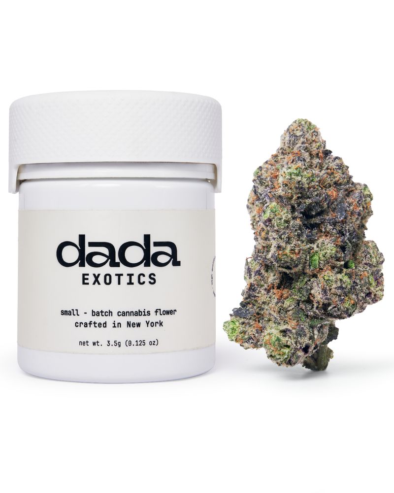 Dada Exotics - Custard Cream 3.5g - Flower