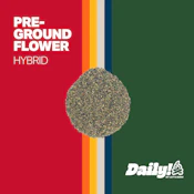 Daily! Grape Gas 7g Pre-Ground 0066