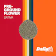 Daily! Daydream Pre-ground
