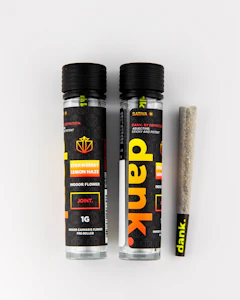 DANK - Dank - Strawberry Lemon Haze Pre-Roll - 1G 
