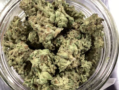 Truforia - Dantes Inferno (I)