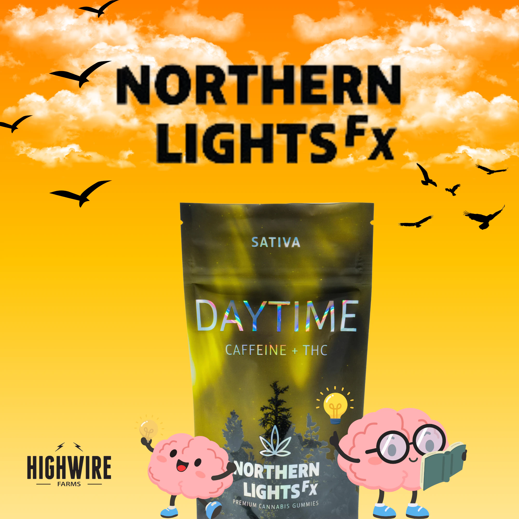Northern Lights FX - Northern Lights FX Gummies Daytime + Caffeine 200mg Main Image