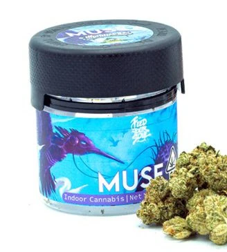 Dolo Rolling Co. - Muse - Vanilla Java (Eighth) Main Image