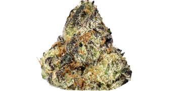 Traditional - Strawberry Milkshake - 3.5g