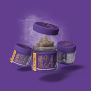 Traditional - 3.5g - Mamba 24