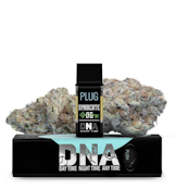 PLUGplay: DNA - Syndicate OG 1g Pod (I)