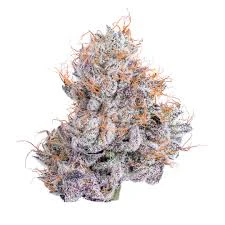 Connected - [Connected] Preroll - 1g - Dosi x Banana (IH) Main Image