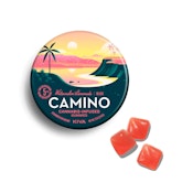 Kiva Camino | Gummies (20ct) | Watermelon Lemonade | 100mg