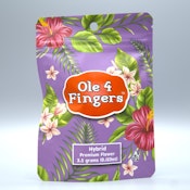Apple Fritter 3.5g Bag - Ole' 4 Fingers