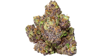 CAM - Mystery Machine Private Reserve - 3.5g