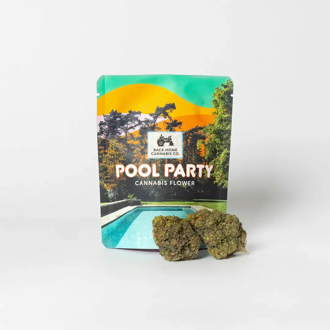 Back Home Cannabis Co. - Back Home Cannabis | Flower | Pineapple Express | 3.5g Main Image