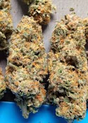 Macinawe | Rare Michigan Genetics | Bulk Flower
