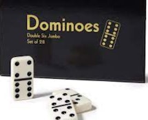 DOMINOS SET MEDIUM SIZE WITH CASE